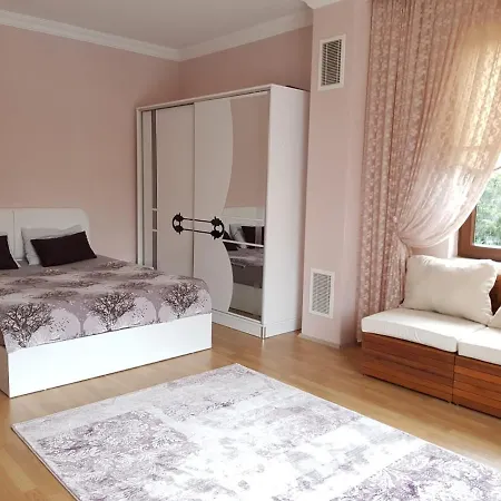 Villa Sahin Buyukcekmece